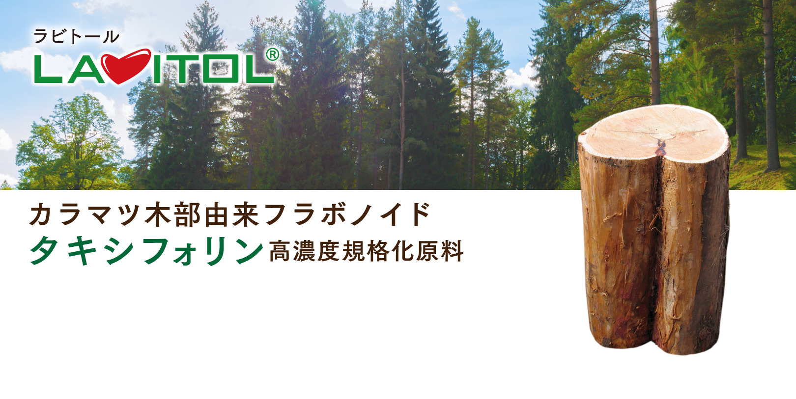 ラビトール(LAVITOL®) カラマツ木部由来フラボノイドタキシフォリン高濃度規格化原料。