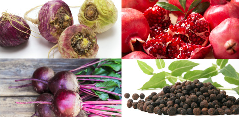 「ヒハツ」、「ショウガ」