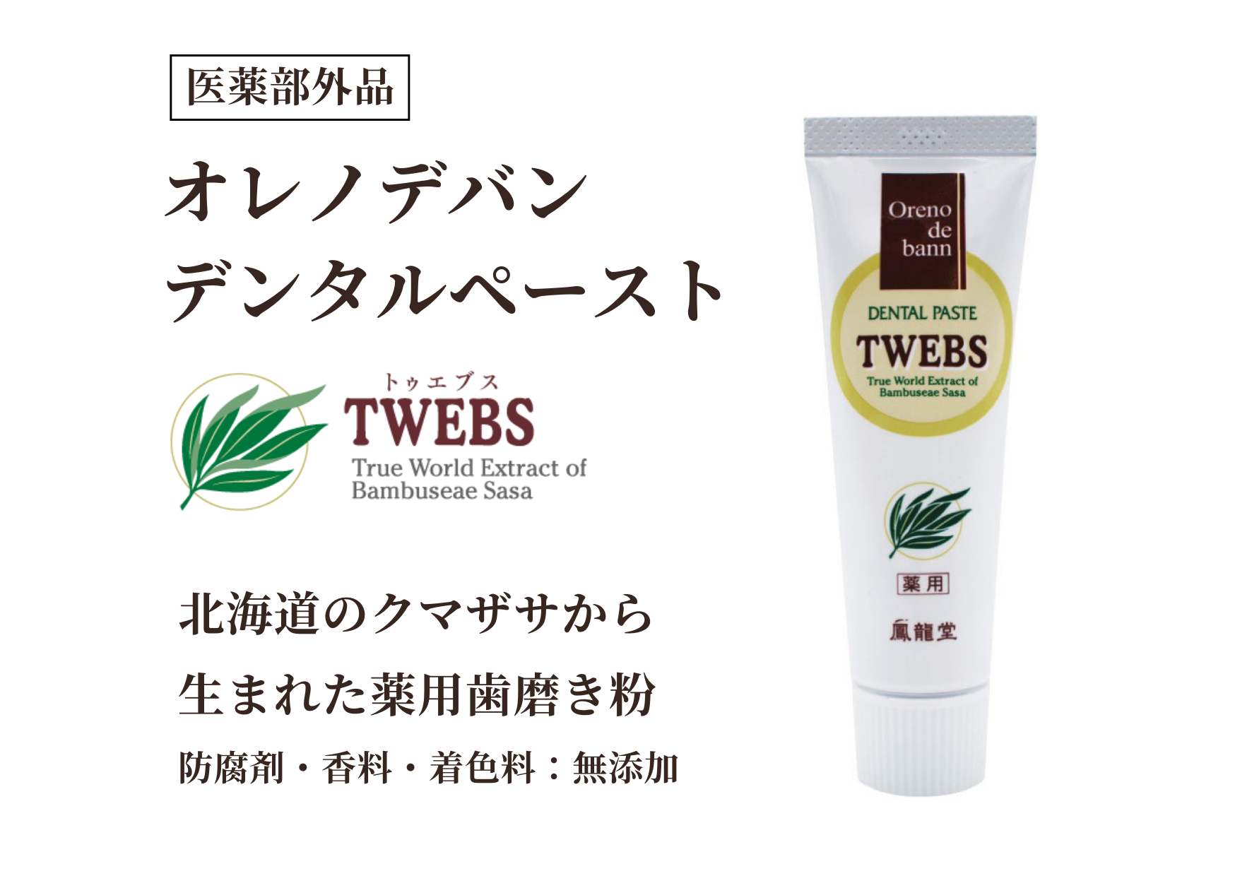 くまたろーページ☆。.:＊・゜レッド400粒 0474_f.png?v=1702001712&width=1024